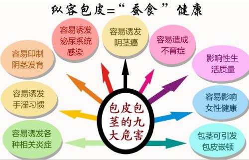 【图解】正常的生殖包皮是什么样的？