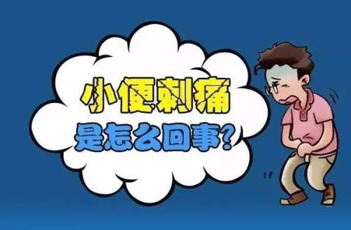 天突然感觉要解小便时有点疼？医生详解