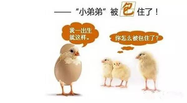 【图】小孩包皮长不开刀影响发育吗?