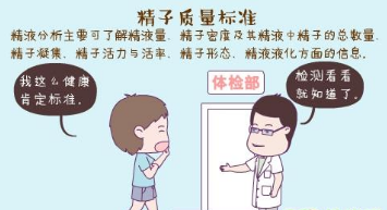 男人备孕吃什么提高精子质量？精子质量看五点