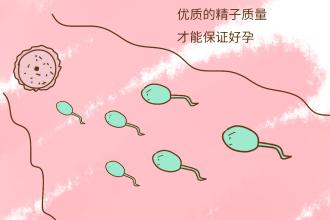 淮安查下精子存活***多少钱？你知道合格精子“存活***”吗？